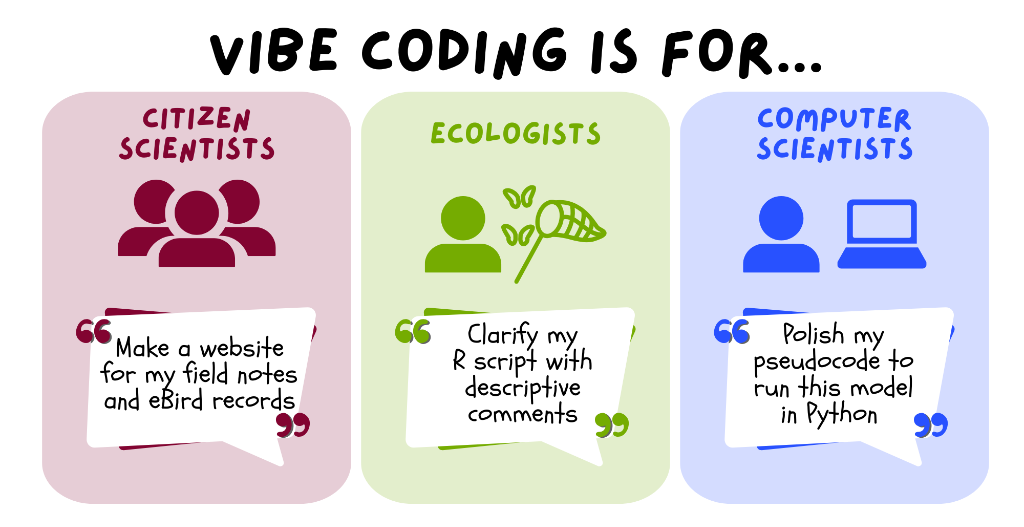Who Vibe Coding is For Infographic